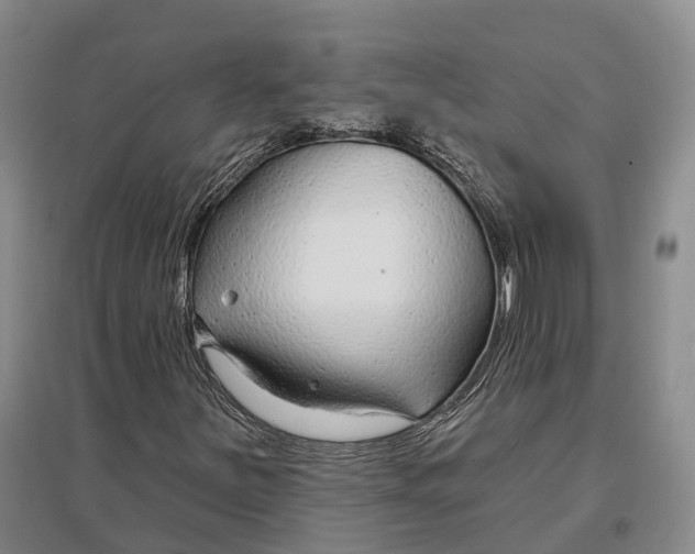 X0000096991251200802291201