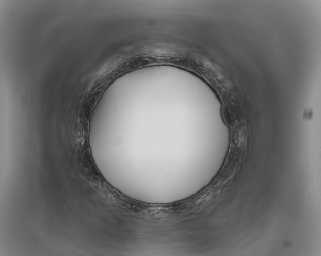 X0000096991253200802291201