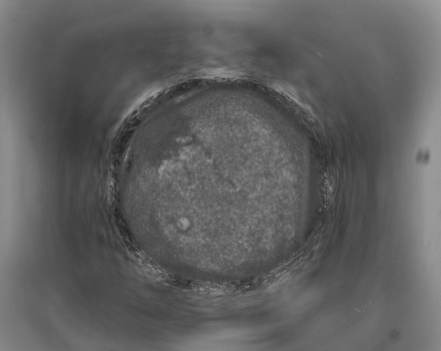 X0000096991254200802291201