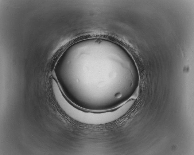 X0000096991255200802291201