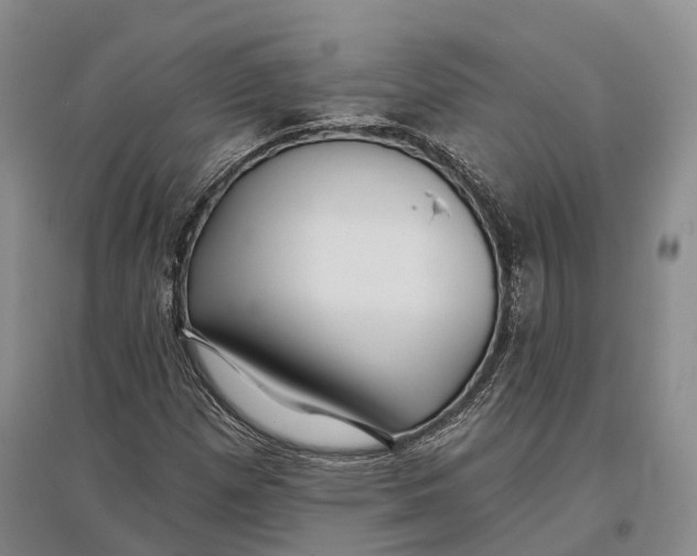 X0000096991257200802291201