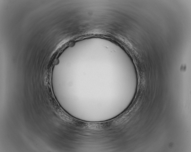 X0000096991258200802291201