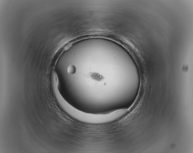 X0000096991259200802291201