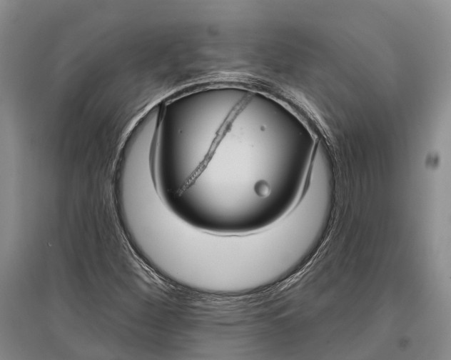 X0000096991260200802291201