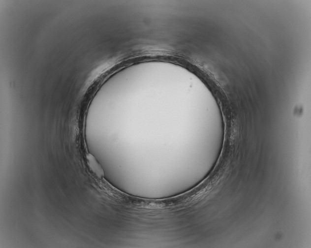 X0000096991261200802291201