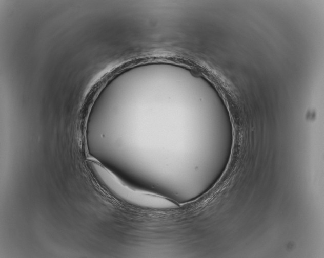 X0000096991262200802291201