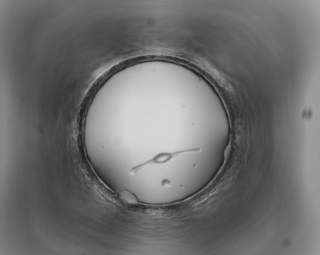 X0000096991264200802291201