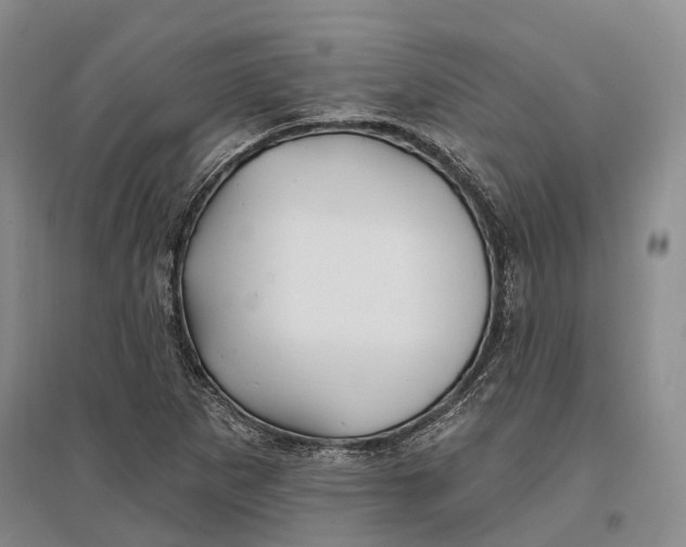 X0000096991265200802291201