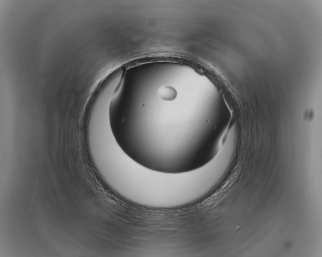 X0000096991267200802291201