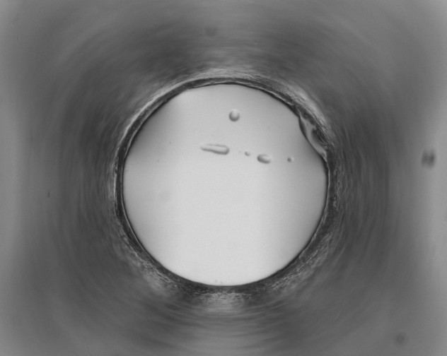 X0000096991268200802291201