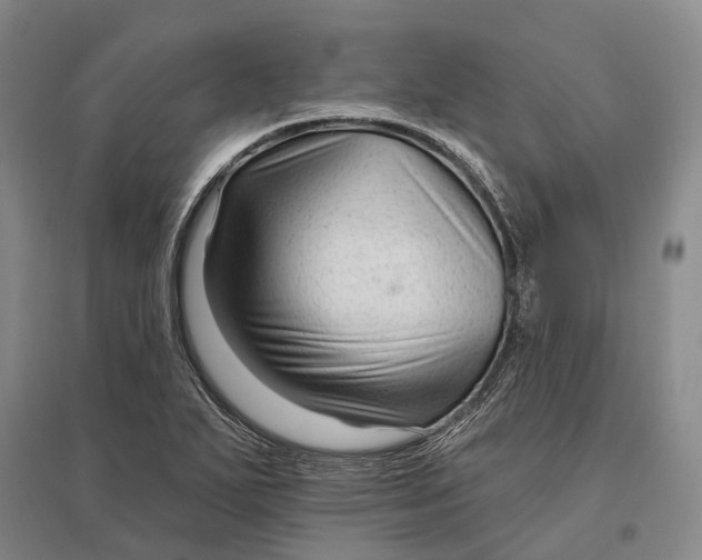 X0000096991271200802291201