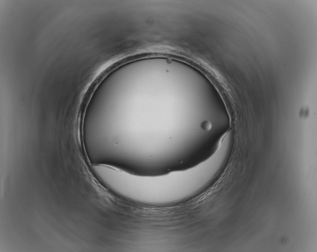 X0000096991272200802291201