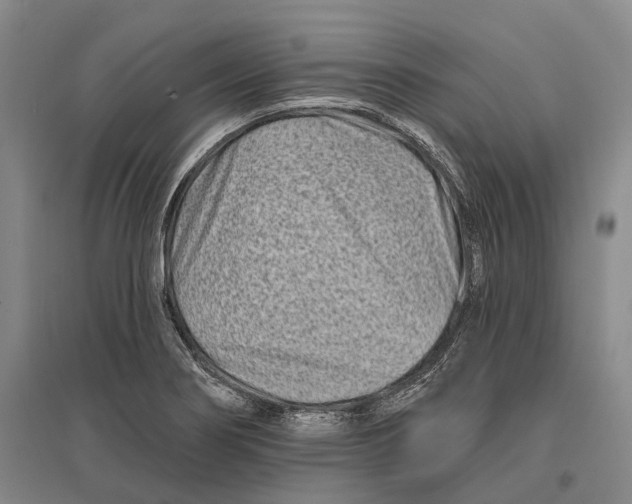 X0000096991274200802291201