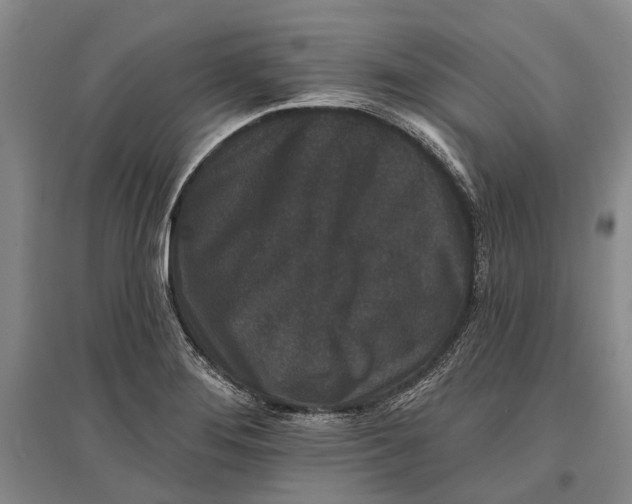 X0000096991276200802291201