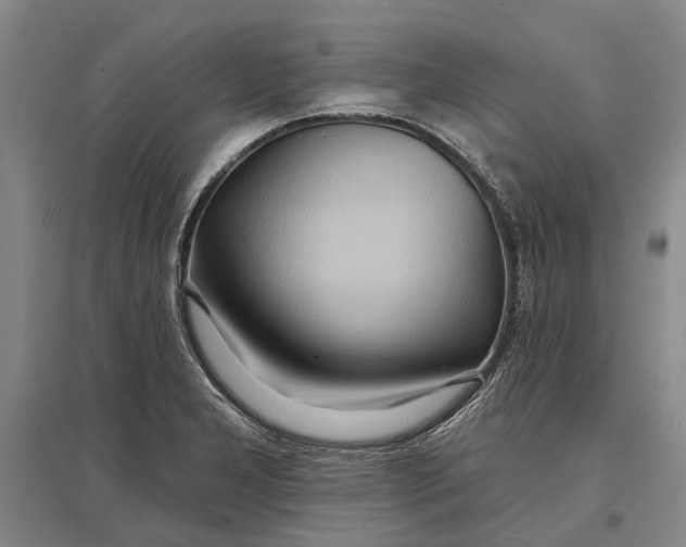 X0000096991277200802291201