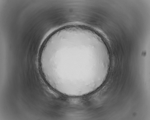 X0000096991278200802291201