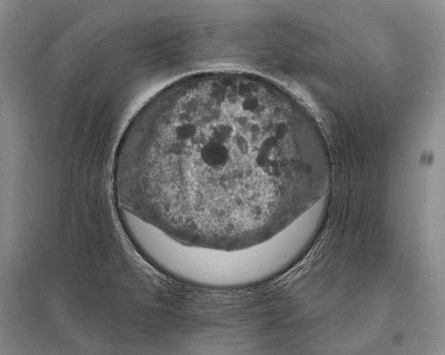 X0000096991279200802291201