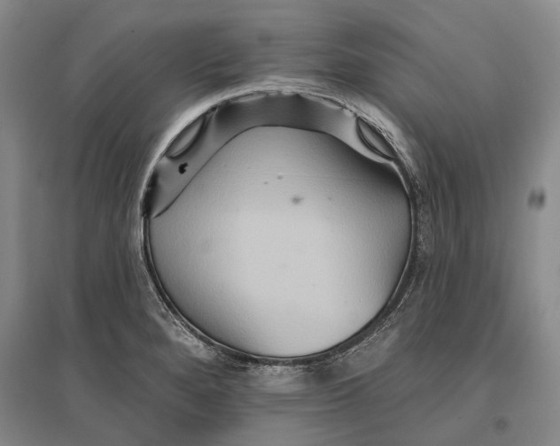 X0000096991280200802291201