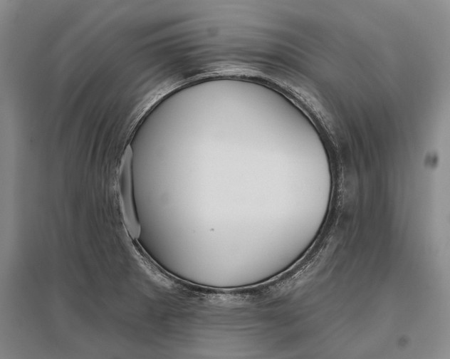 X0000096991281200802291201