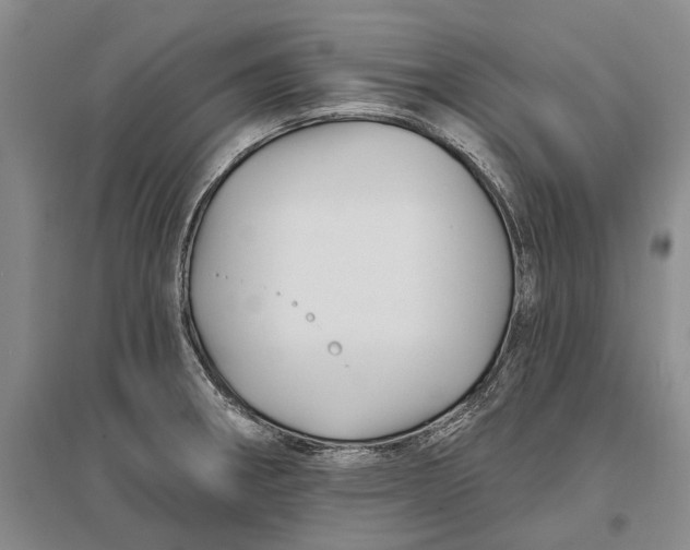 X0000096991282200802291201