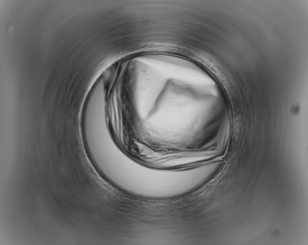 X0000096991283200802291200