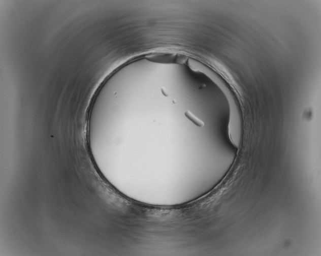 X0000096991284200802291200