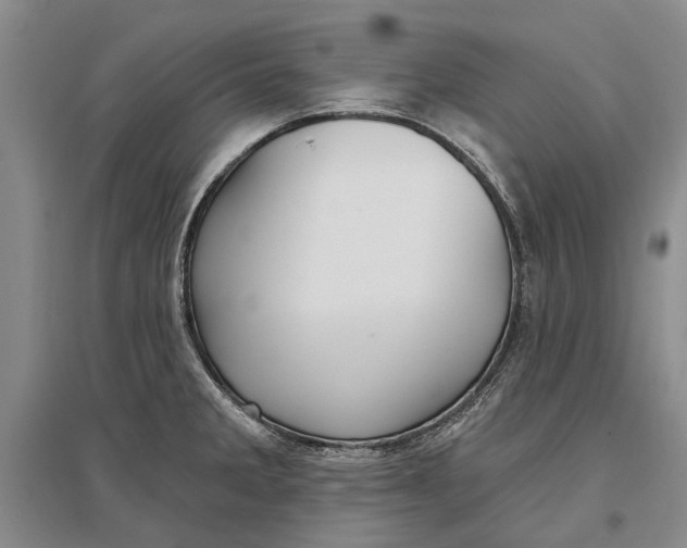 X0000096991285200802291200