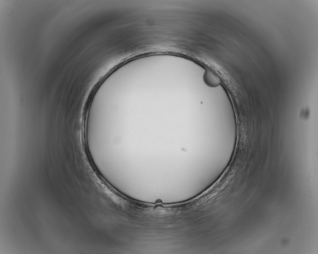 X0000096991286200802291200