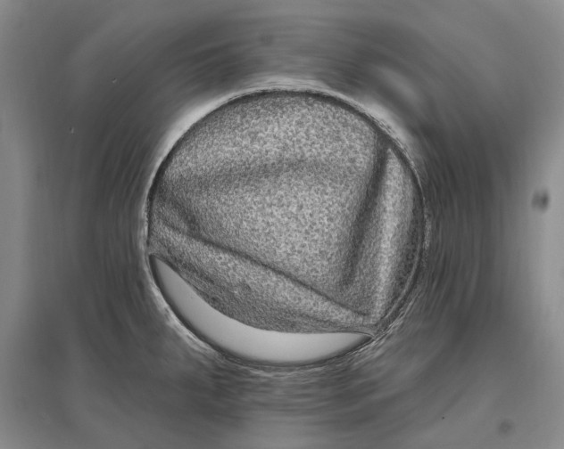 X0000096991287200802291200