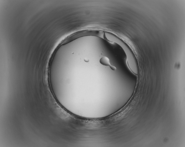 X0000096991288200802291200