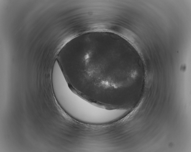 X0000096991289200802291200