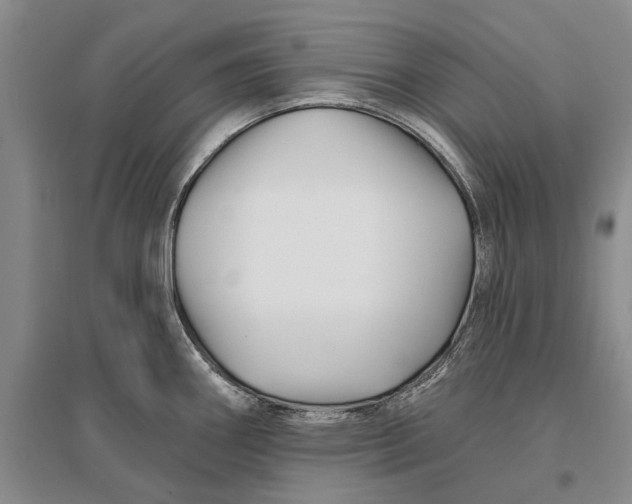 X0000096991290200802291200