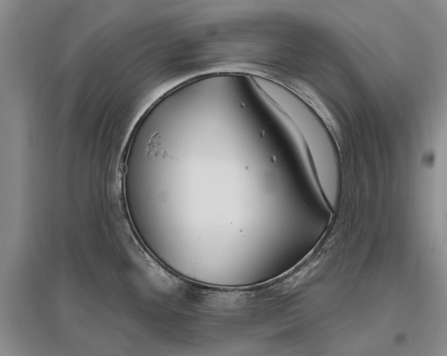 X0000096991292200802291200