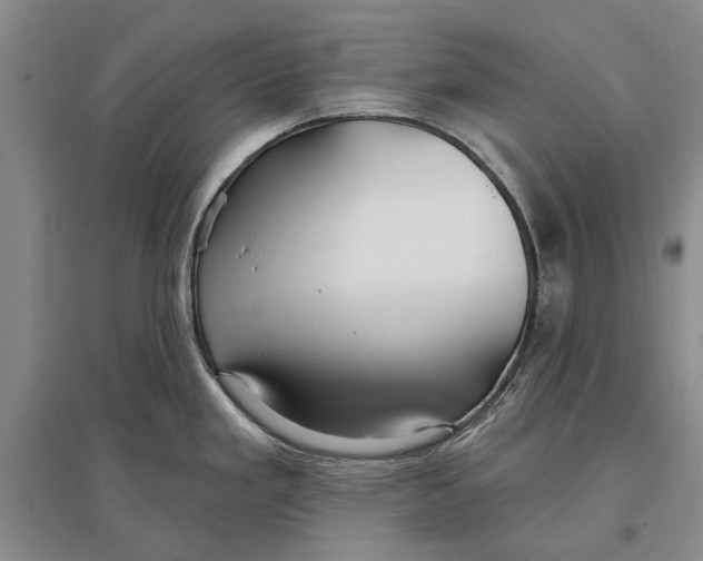 X0000096991293200802291200