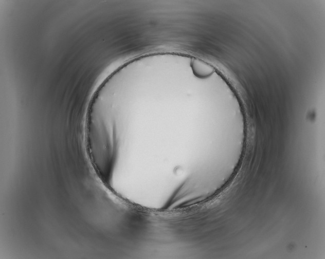 X0000096991294200802291200