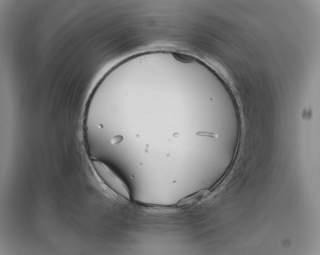 X0000096991296200802291200