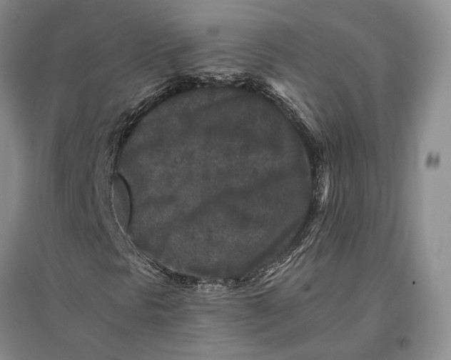 X0000096991297200802291200