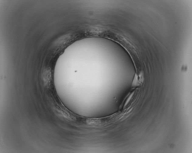 X0000096991299200802291200