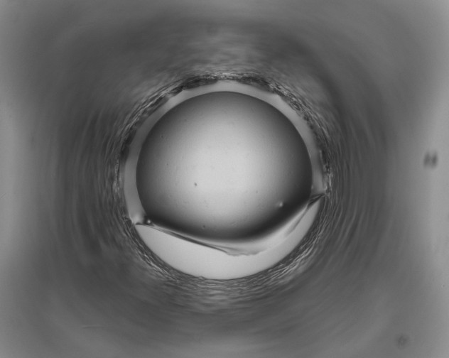 X0000096991300200802291200