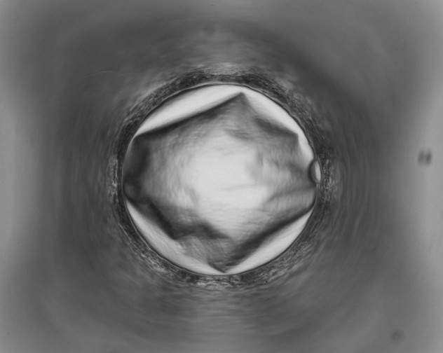 X0000096991301200802291200