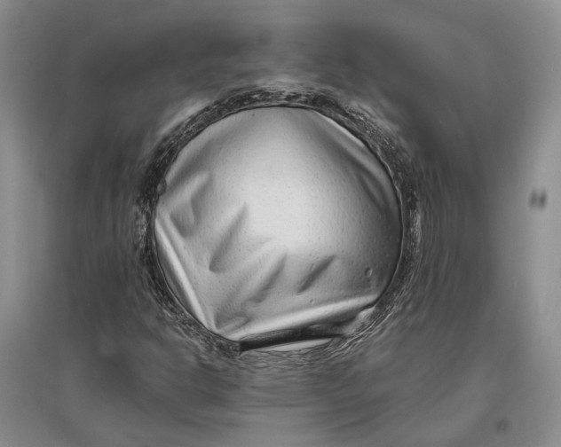 X0000096991302200802291200