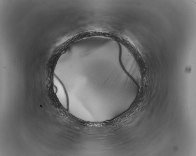 X0000096991303200802291200