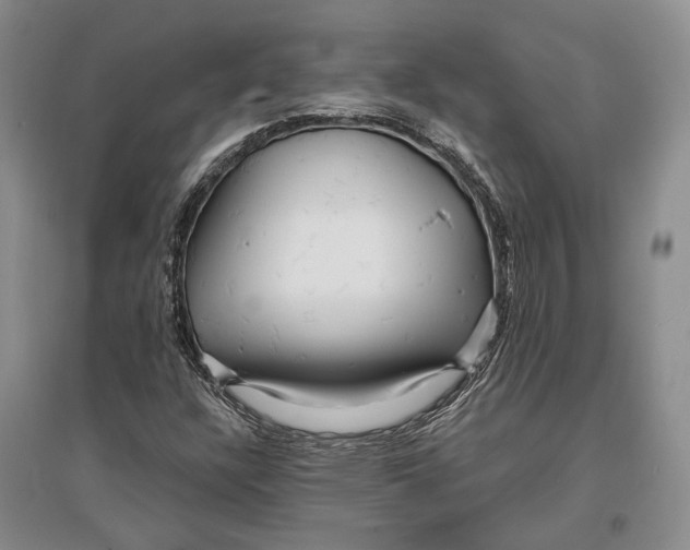 X0000096991304200802291200