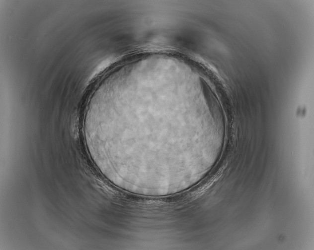 X0000096991306200802291200