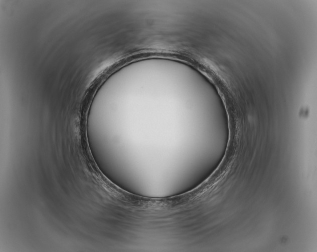 X0000096991307200802291200