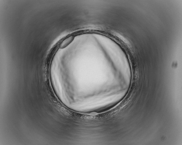 X0000096991310200802291200