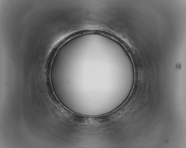 X0000096991311200802291200