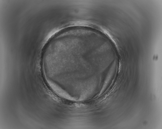 X0000096991312200802291200