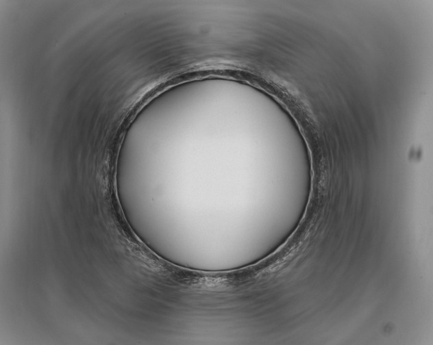 X0000096991313200802291200