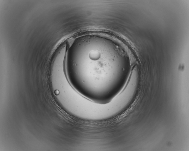 X0000096991314200802291200